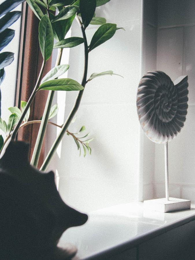 Willa Piwniczka Apartament Jahlowej Piwniczna-Zdroj ภายนอก รูปภาพ
