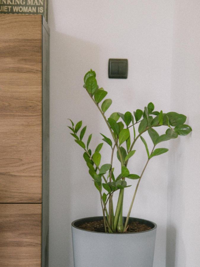 Willa Piwniczka Apartament Jahlowej Piwniczna-Zdroj ภายนอก รูปภาพ